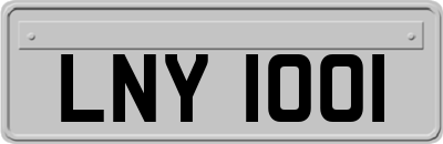 LNY1001
