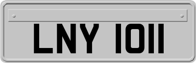 LNY1011