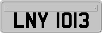LNY1013