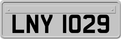 LNY1029