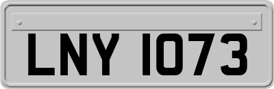 LNY1073
