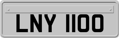 LNY1100