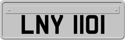LNY1101