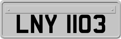 LNY1103