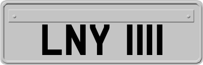 LNY1111