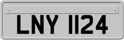 LNY1124