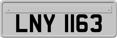 LNY1163