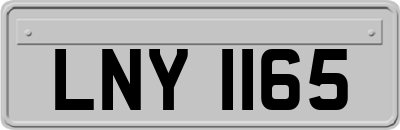 LNY1165