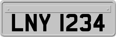 LNY1234