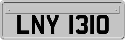 LNY1310