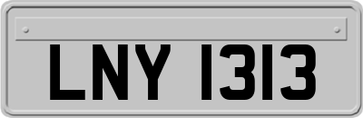 LNY1313