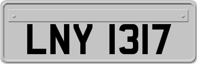 LNY1317