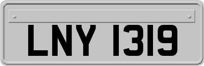 LNY1319