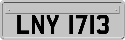 LNY1713