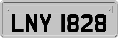 LNY1828