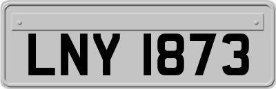 LNY1873