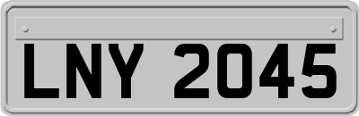 LNY2045