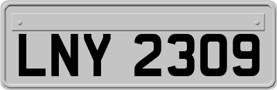 LNY2309