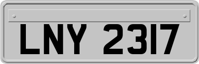 LNY2317