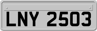 LNY2503