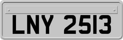 LNY2513