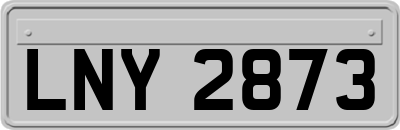 LNY2873