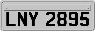 LNY2895