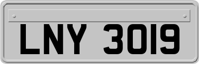 LNY3019