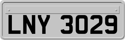 LNY3029