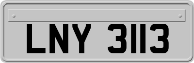 LNY3113