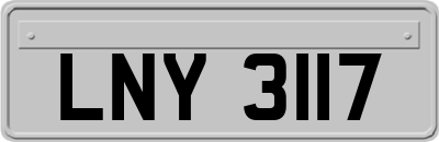 LNY3117