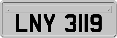 LNY3119