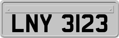 LNY3123