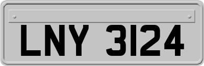 LNY3124