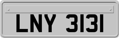 LNY3131