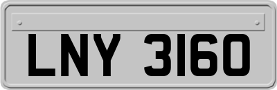 LNY3160