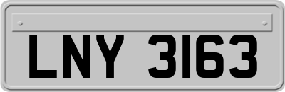 LNY3163