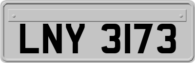 LNY3173