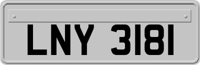 LNY3181