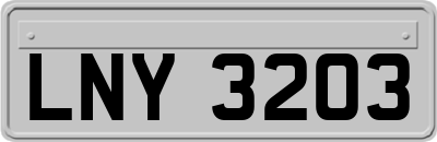 LNY3203