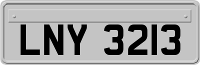 LNY3213