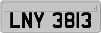 LNY3813