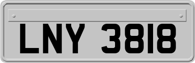 LNY3818