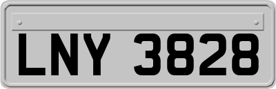 LNY3828