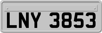 LNY3853