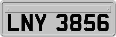 LNY3856
