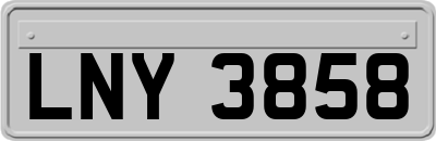 LNY3858