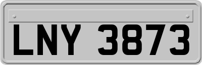 LNY3873
