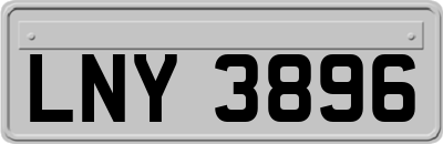 LNY3896