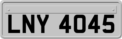 LNY4045